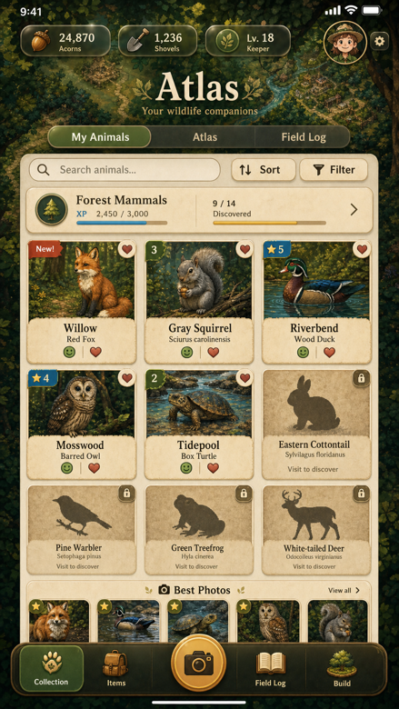 Safari Day, the atlas of collected species